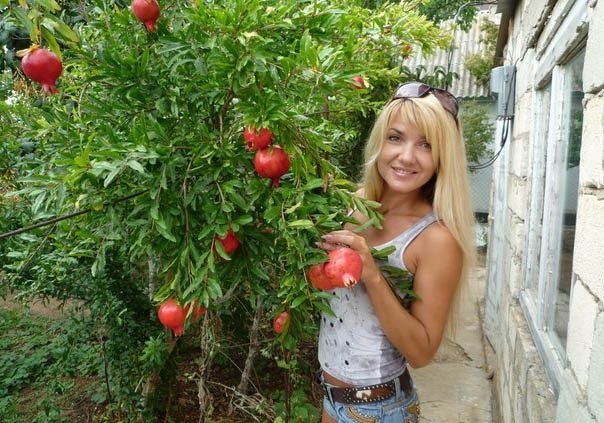 Сладкая блондинка приглашает развлечься и поэкспериментировать парней в Сладкая блондинка приглашает развлечься и поэкспериментировать парней в